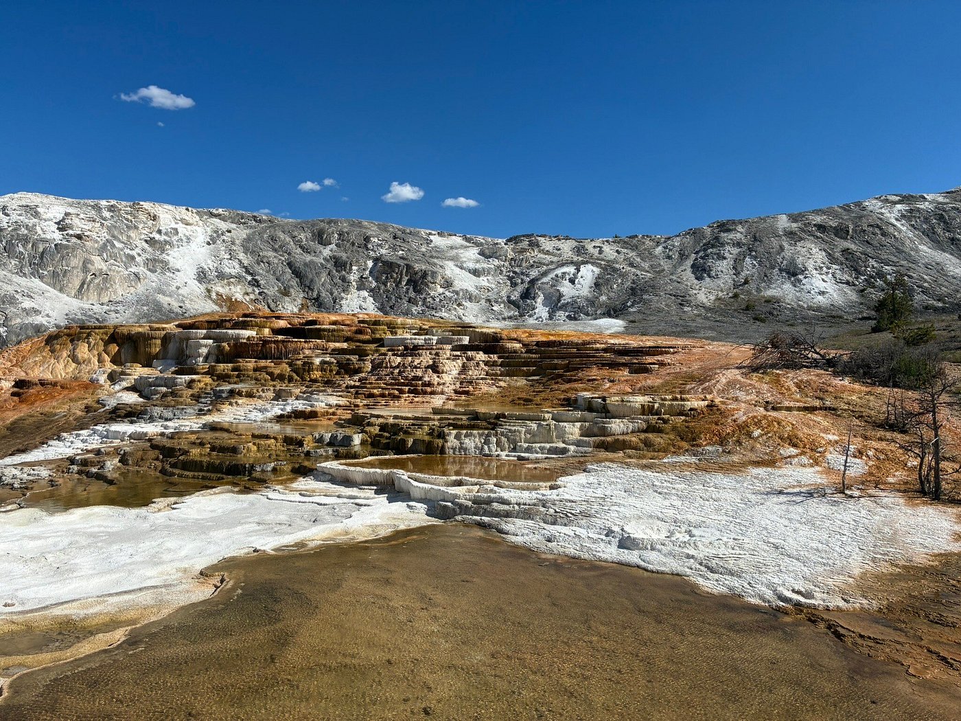 Mammoth Hot Springs