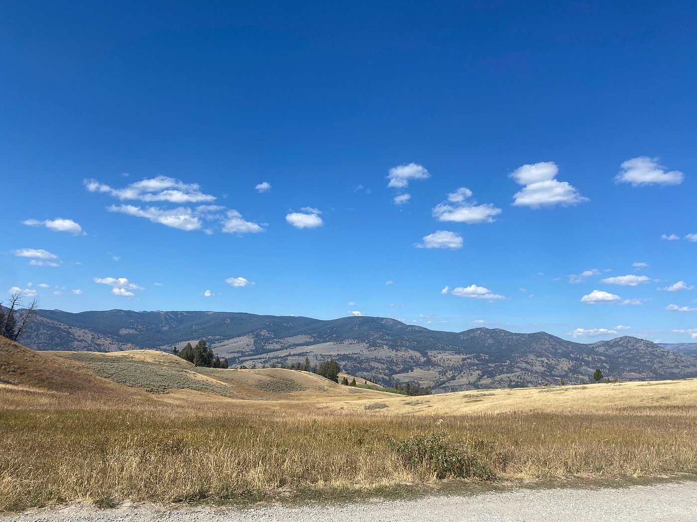 Blacktail Plateau Drive