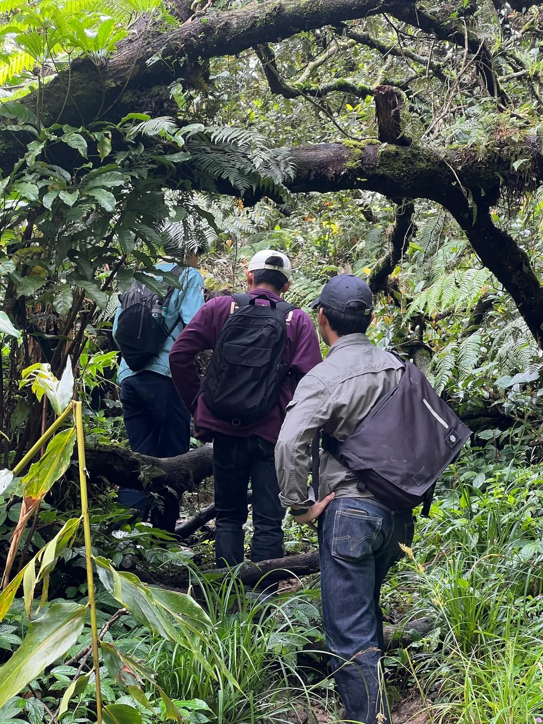 Heavy Denim Hiking Pants