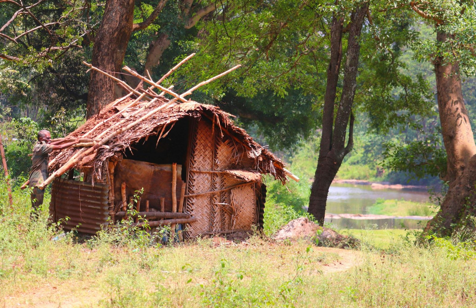 A handmade wooden shack nestled in a lush forest, highlighting rustic living amidst nature's embrace.