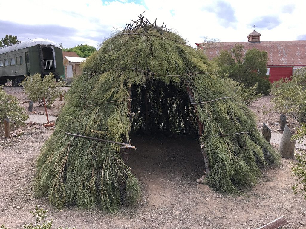 Brush Shelter