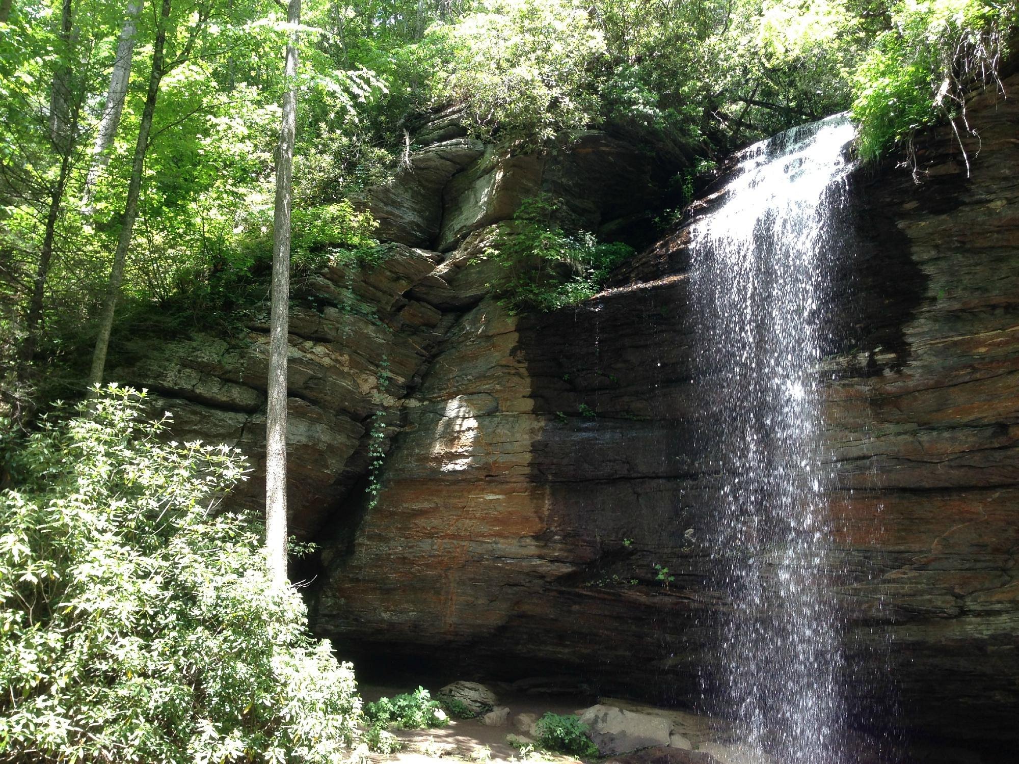 Moore Cove Falls Vicinity, North Carolina