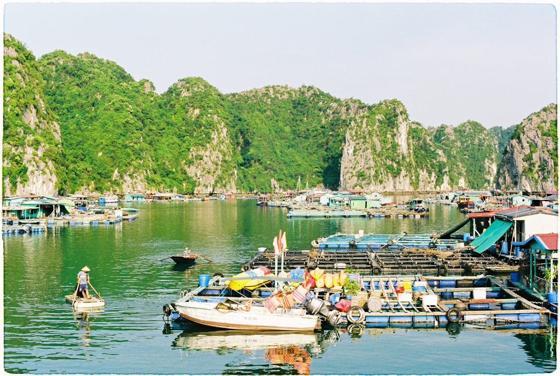 Scenic View of Cat Ba Floating Fishing Village