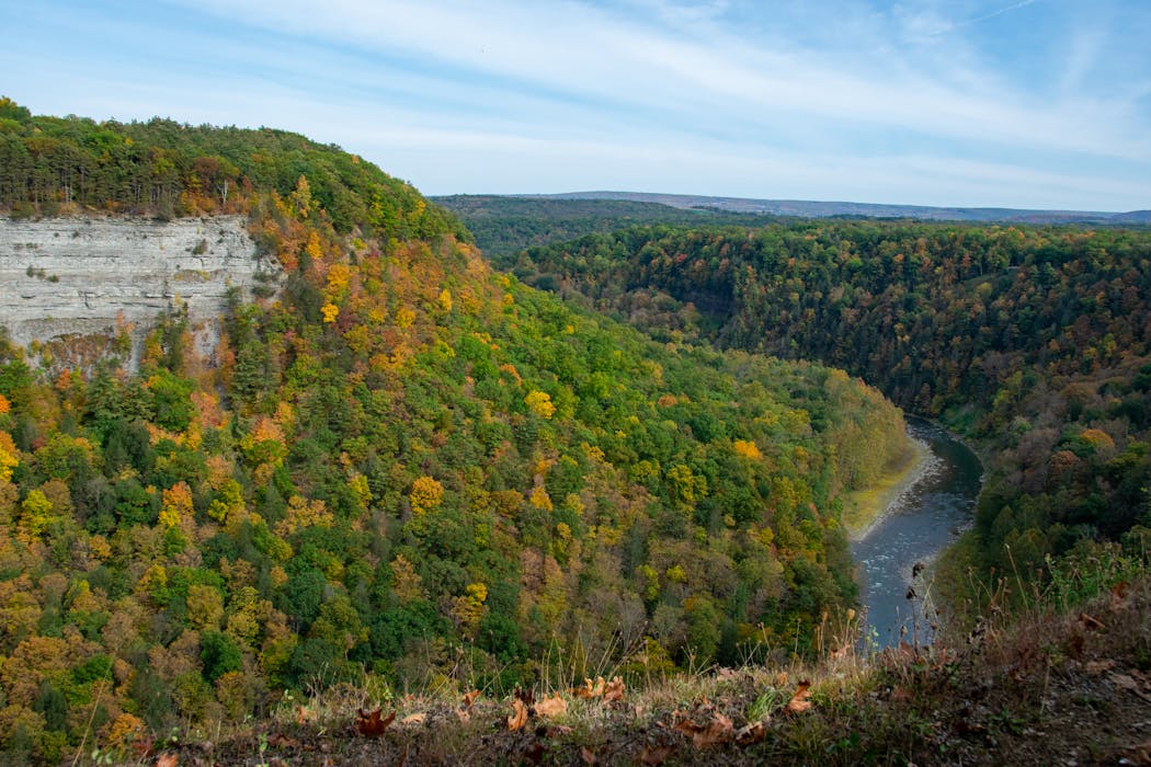 Loyalsock State Forest, Pennsylvania