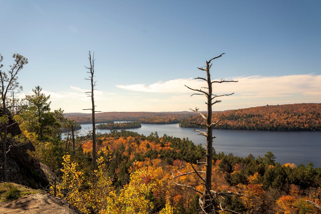 Tiadaghton State Forest, Pennsylvania