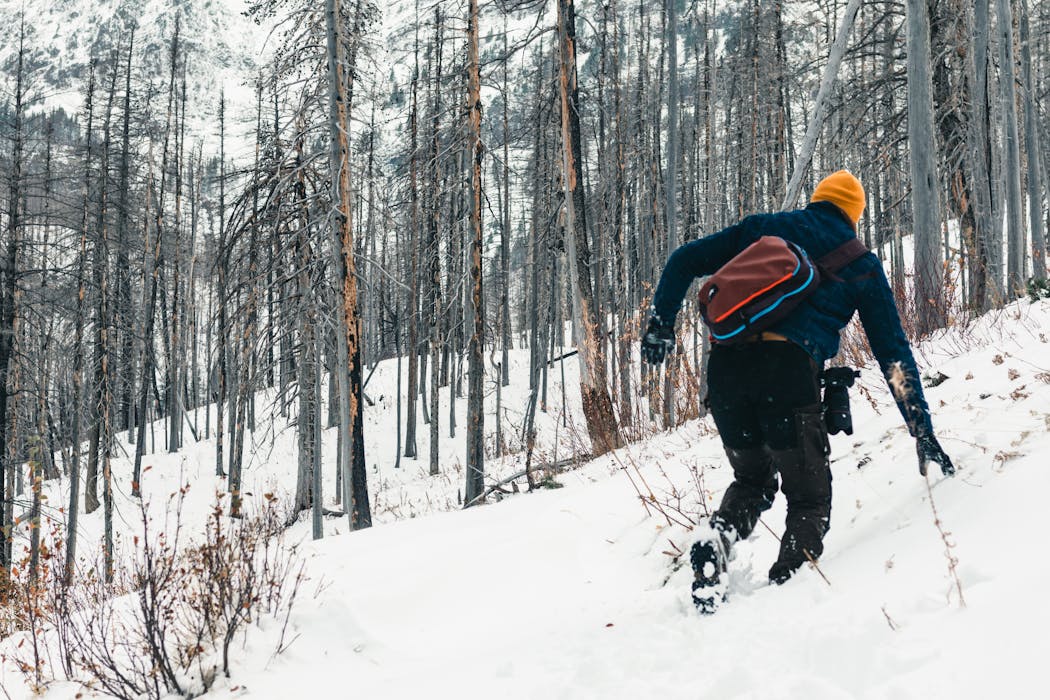 taiki-ishikawa-w6EMxsk8CDA-unsplash A Person on a Hike