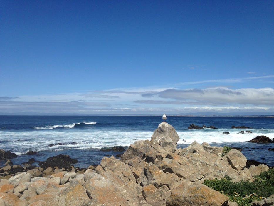 Lost Coast, California