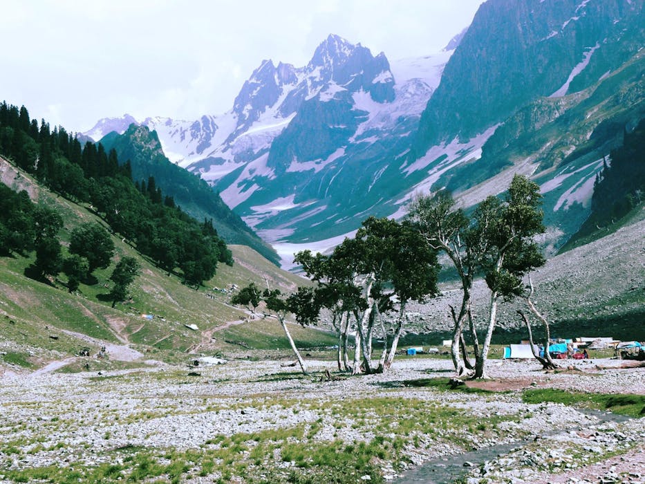 Campsite in Bad Condition Due to Overuse