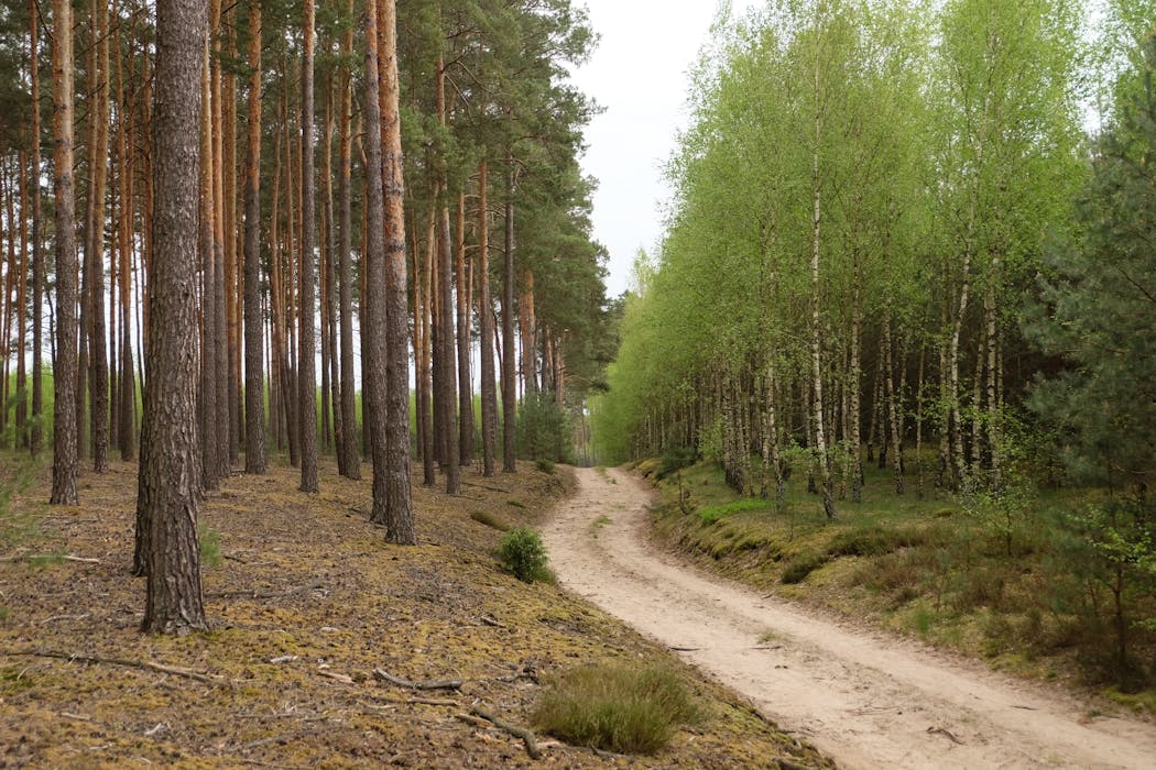 Seasonal Rhythms Oregon’s backwoods
