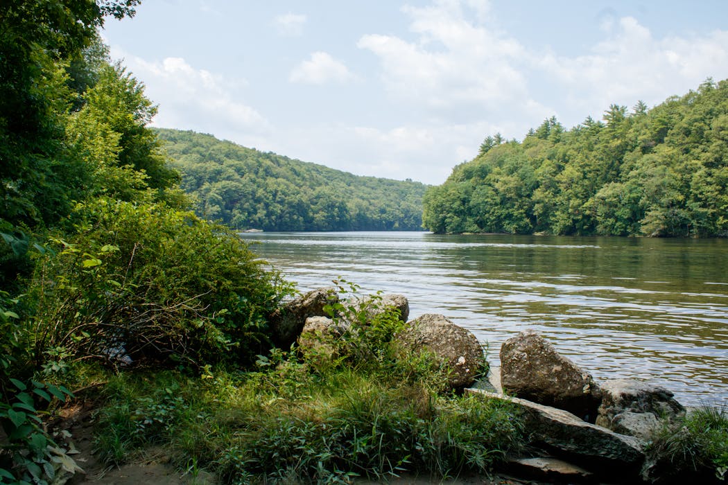 Michaux State Forest, Pennsylvania