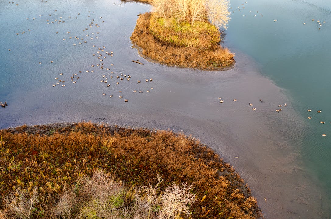 Goose Island, Minnesota