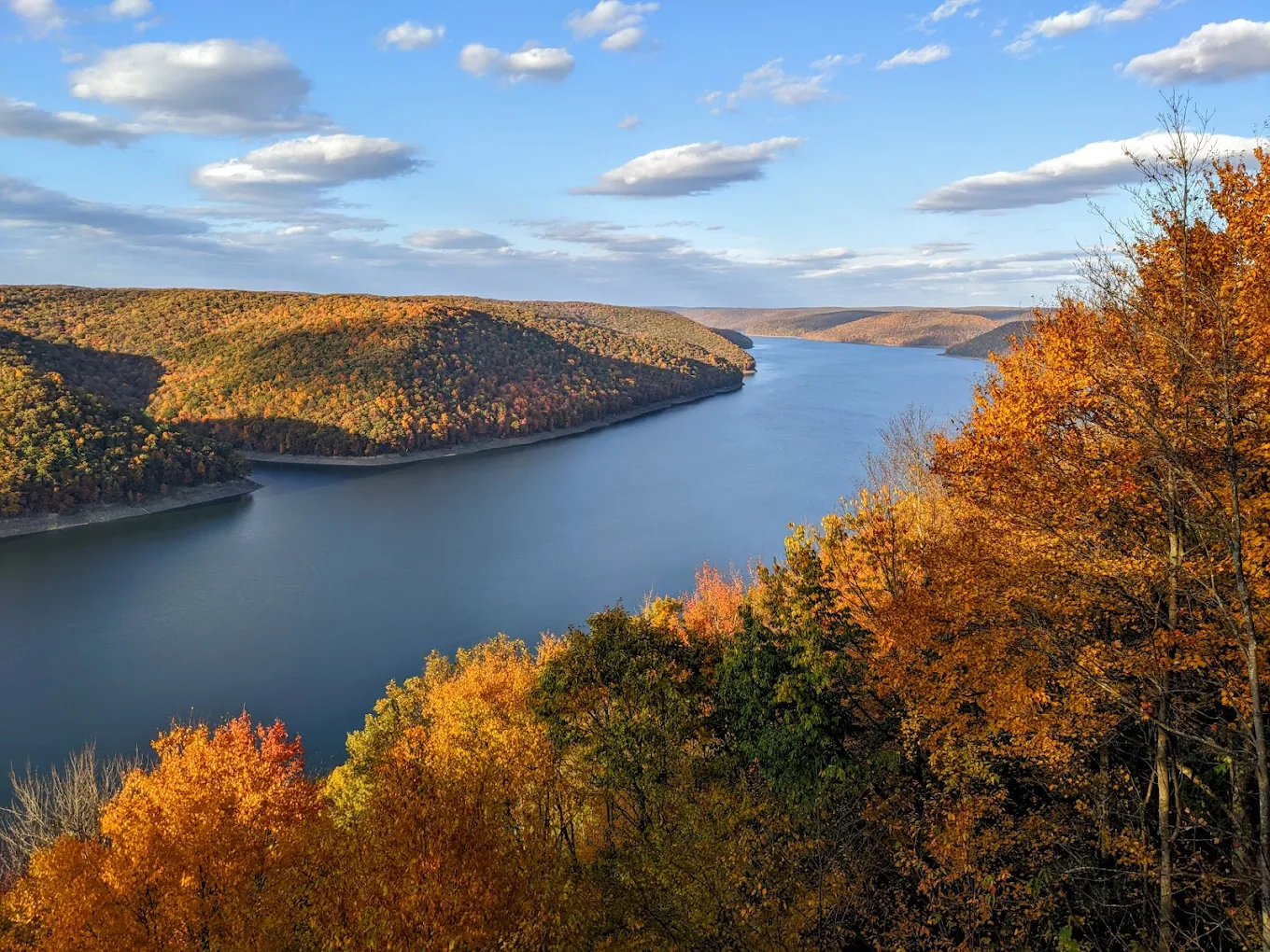 Allegheny National Forest