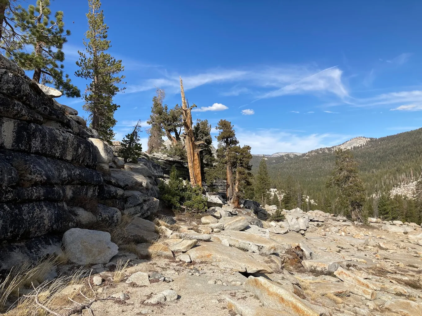 Dusy-Ershim Trail, California