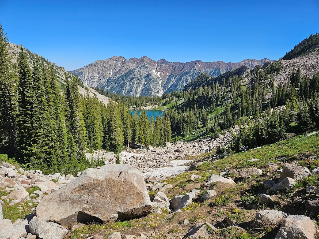 Uinta-Wasatch-Cache National Forest’s Red Pine Lake Trail