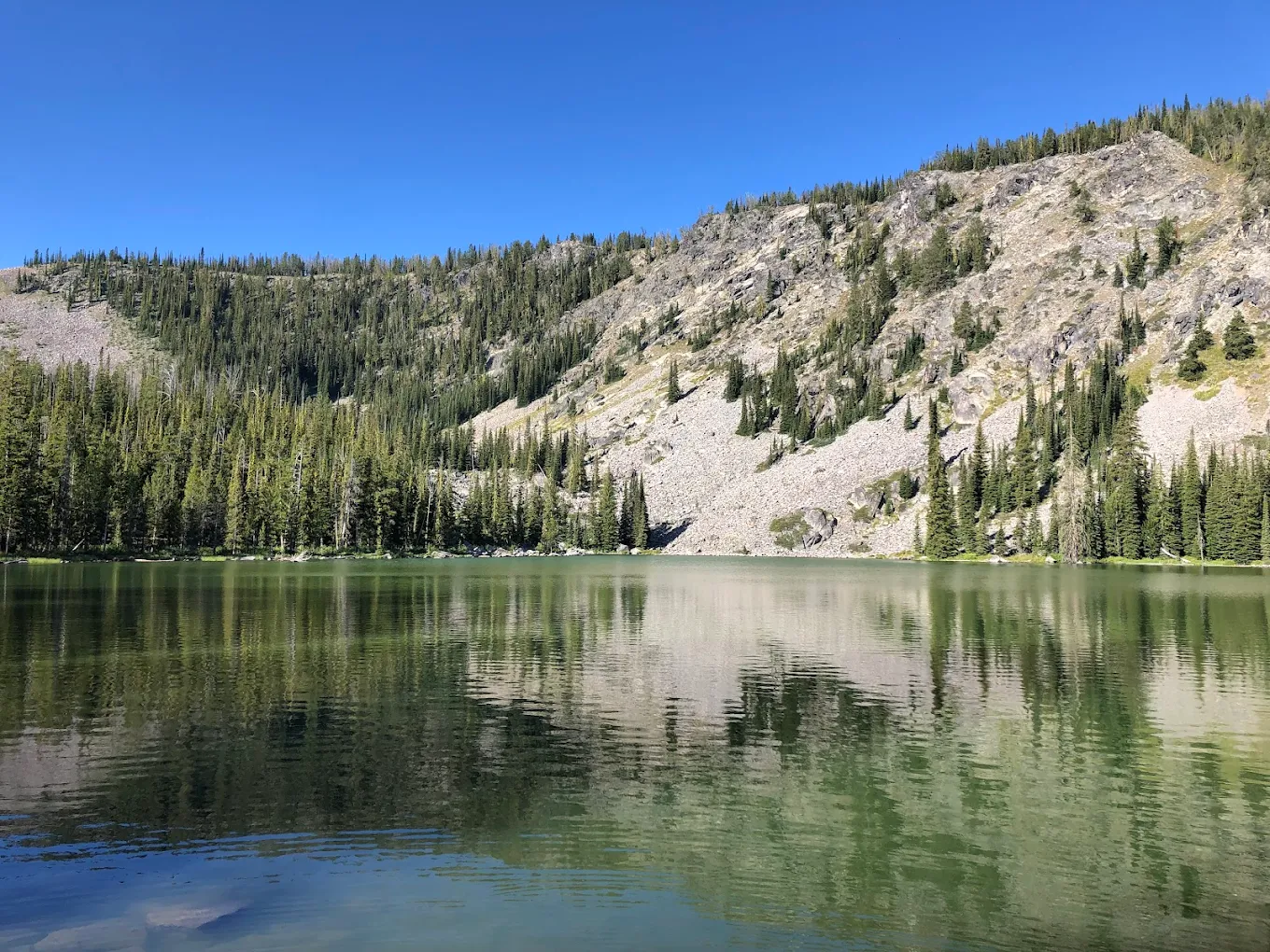 Salmon-Challis National Forest