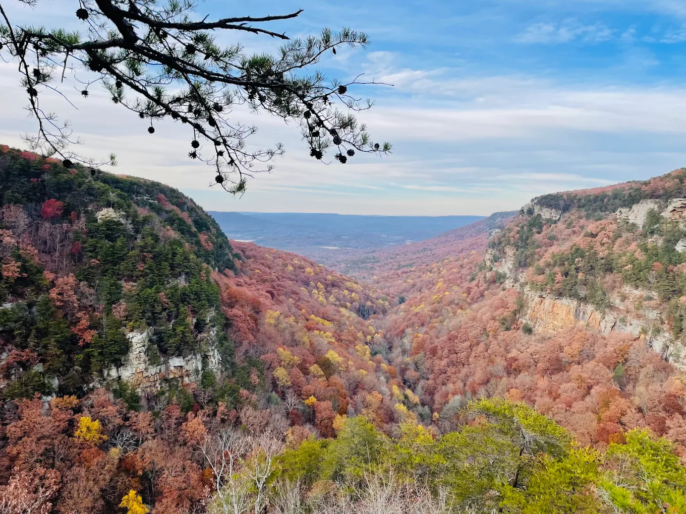 Cloudland Canyon State Park