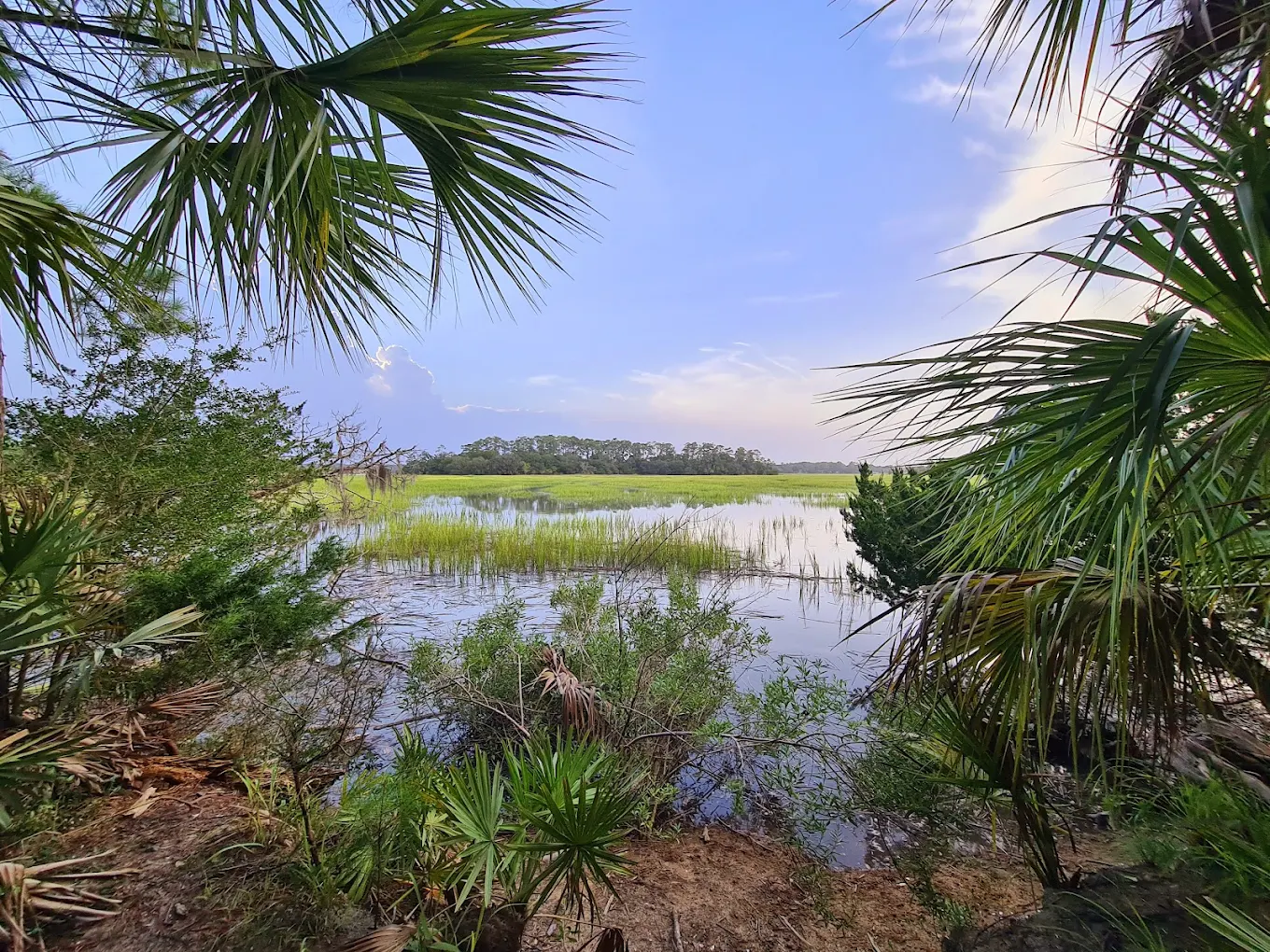 Skidaway Island State Park