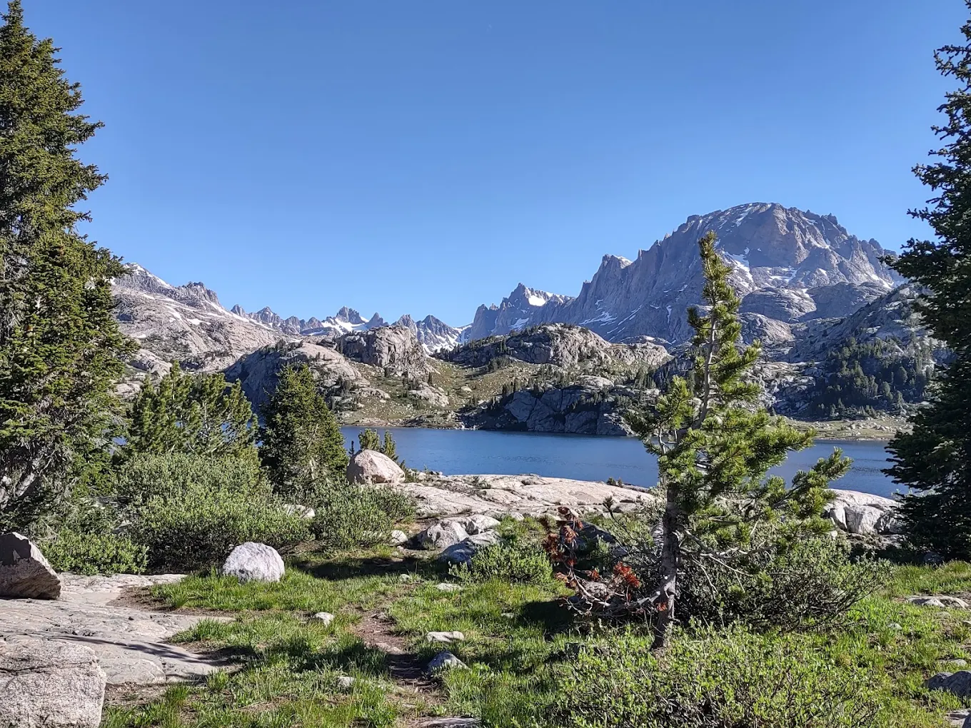 Bridger-Teton National Forest