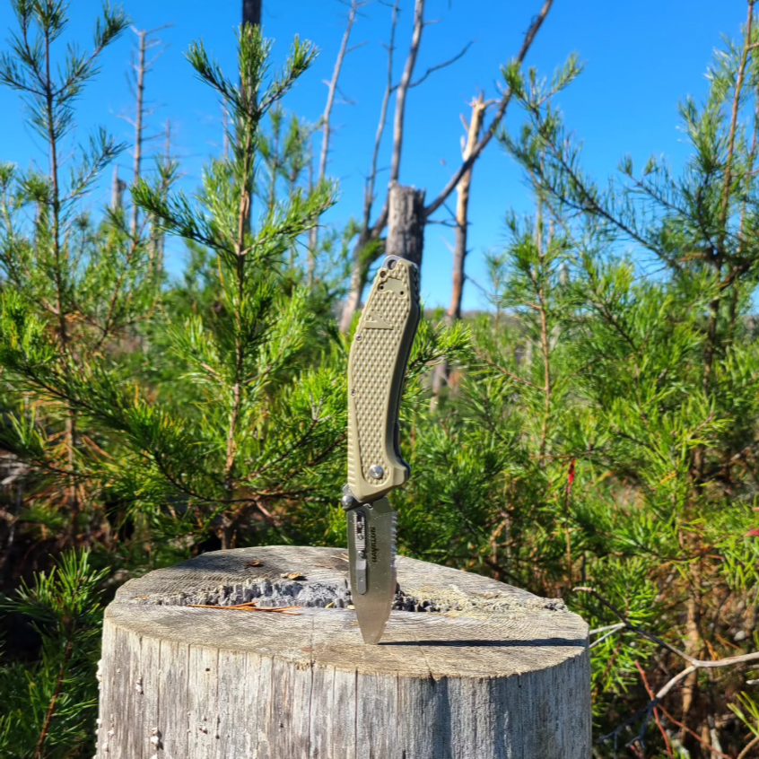 Knife with Replaceable-blade on a Tree Trunk