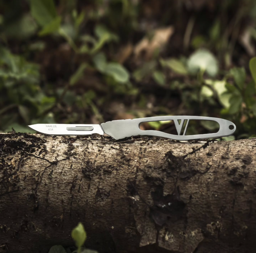 Knife with Replaceable-blade on a Tree Trunk