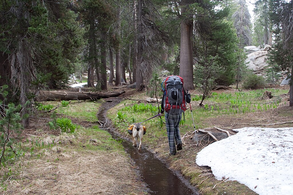 taiki-ishikawa-w6EMxsk8CDA-unsplash