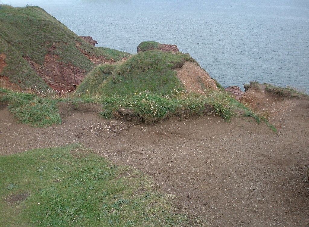 taiki-ishikawa-w6EMxsk8CDA-unsplash