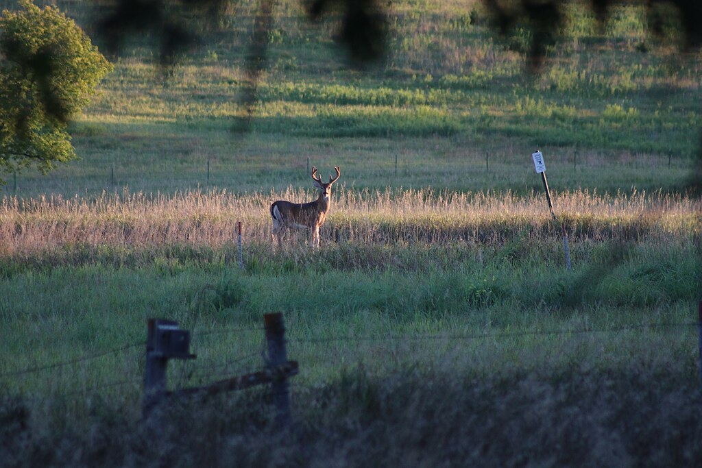 taiki-ishikawa-w6EMxsk8CDA-unsplash