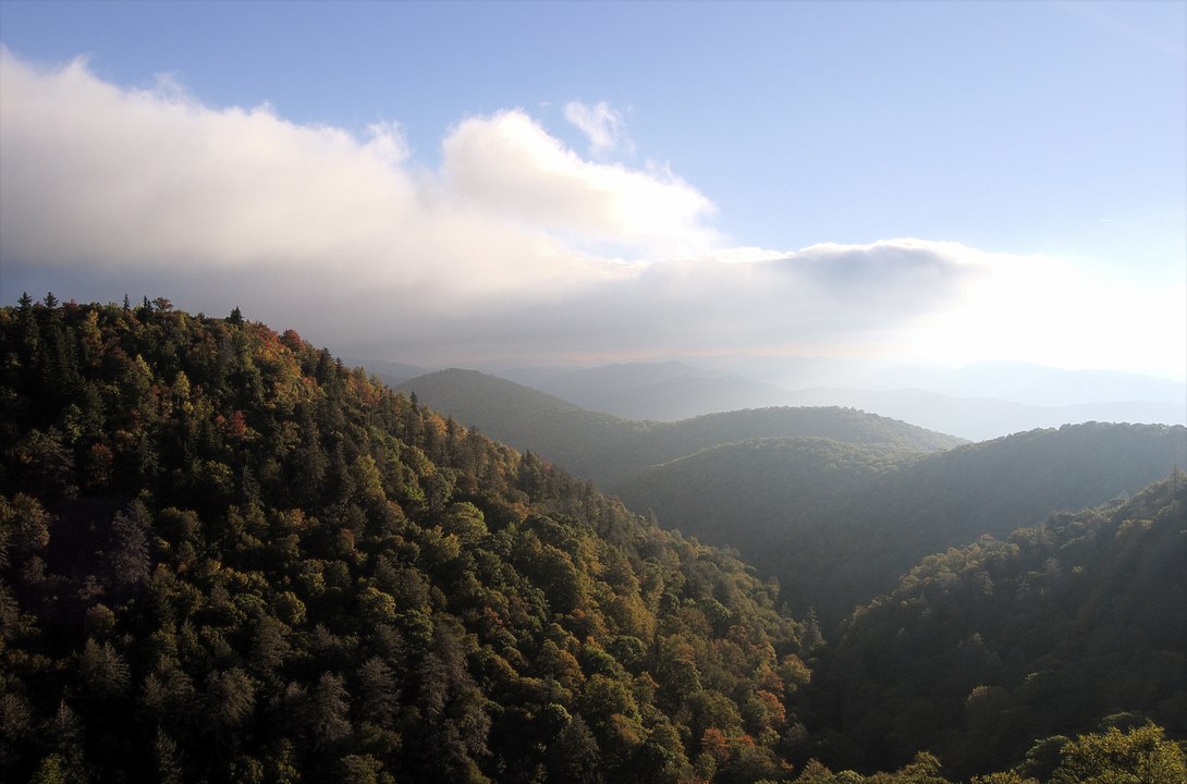 East Fork Overlook from Blue Ridge Parkway