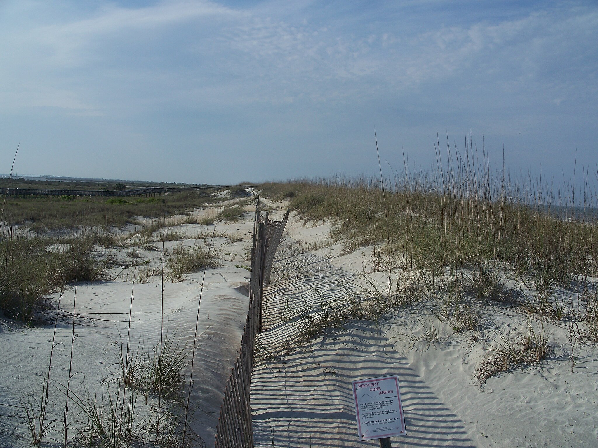 taiki-ishikawa-w6EMxsk8CDA-unsplash