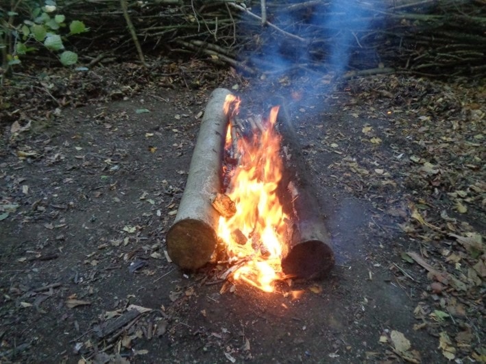 Parallel Log Fire