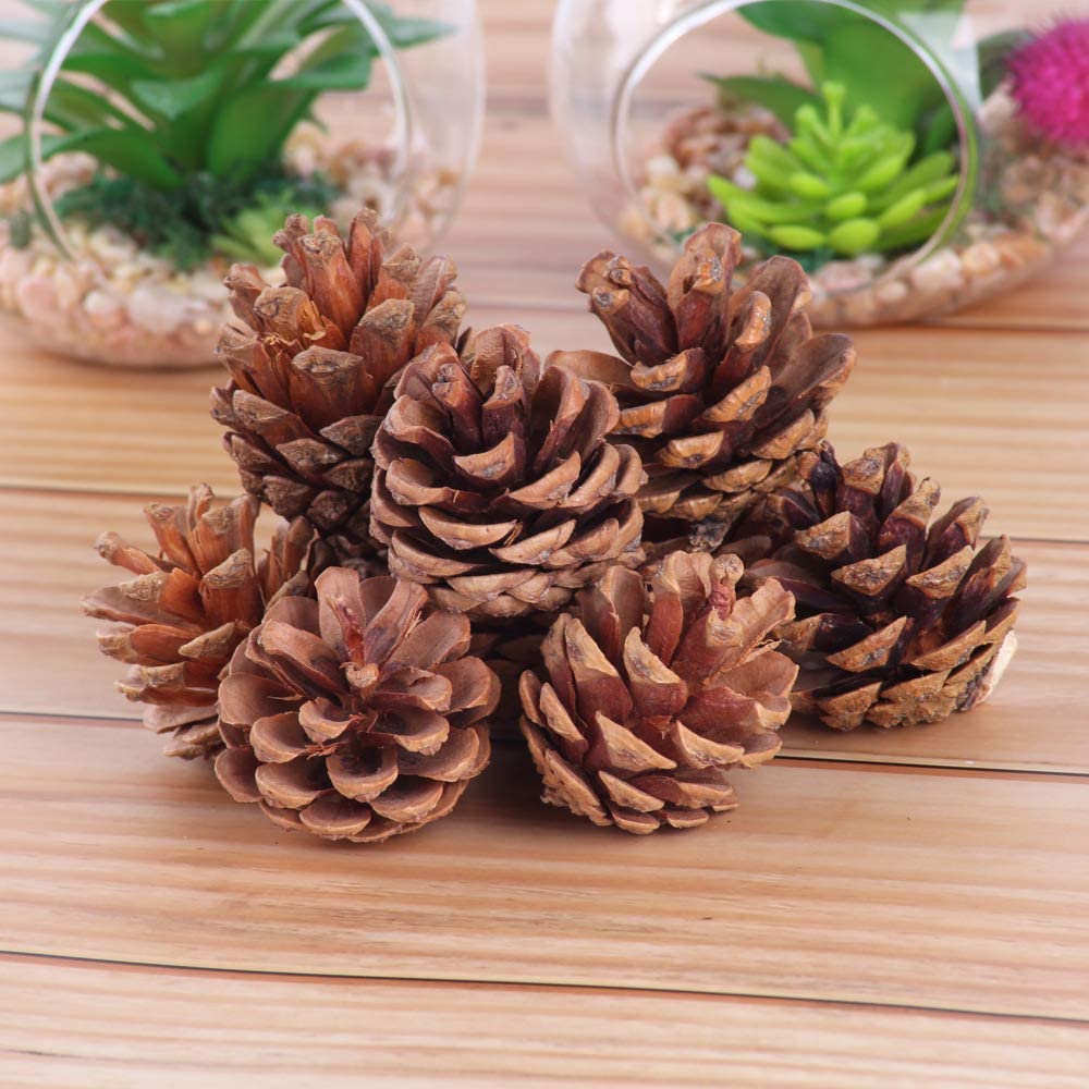 Ascension Natural Pine Cone Wooden Cones Hanging Pinecone