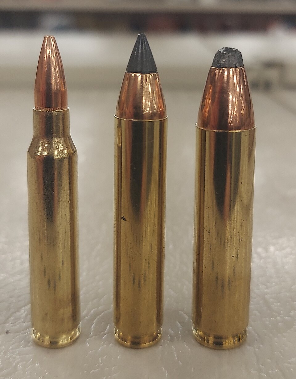 From left: .223 Remington, .350 Legend, .400 Legend