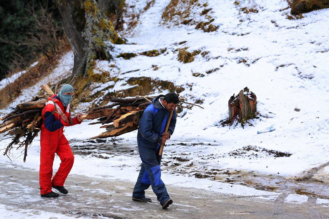 Two Person Gathering Firewood