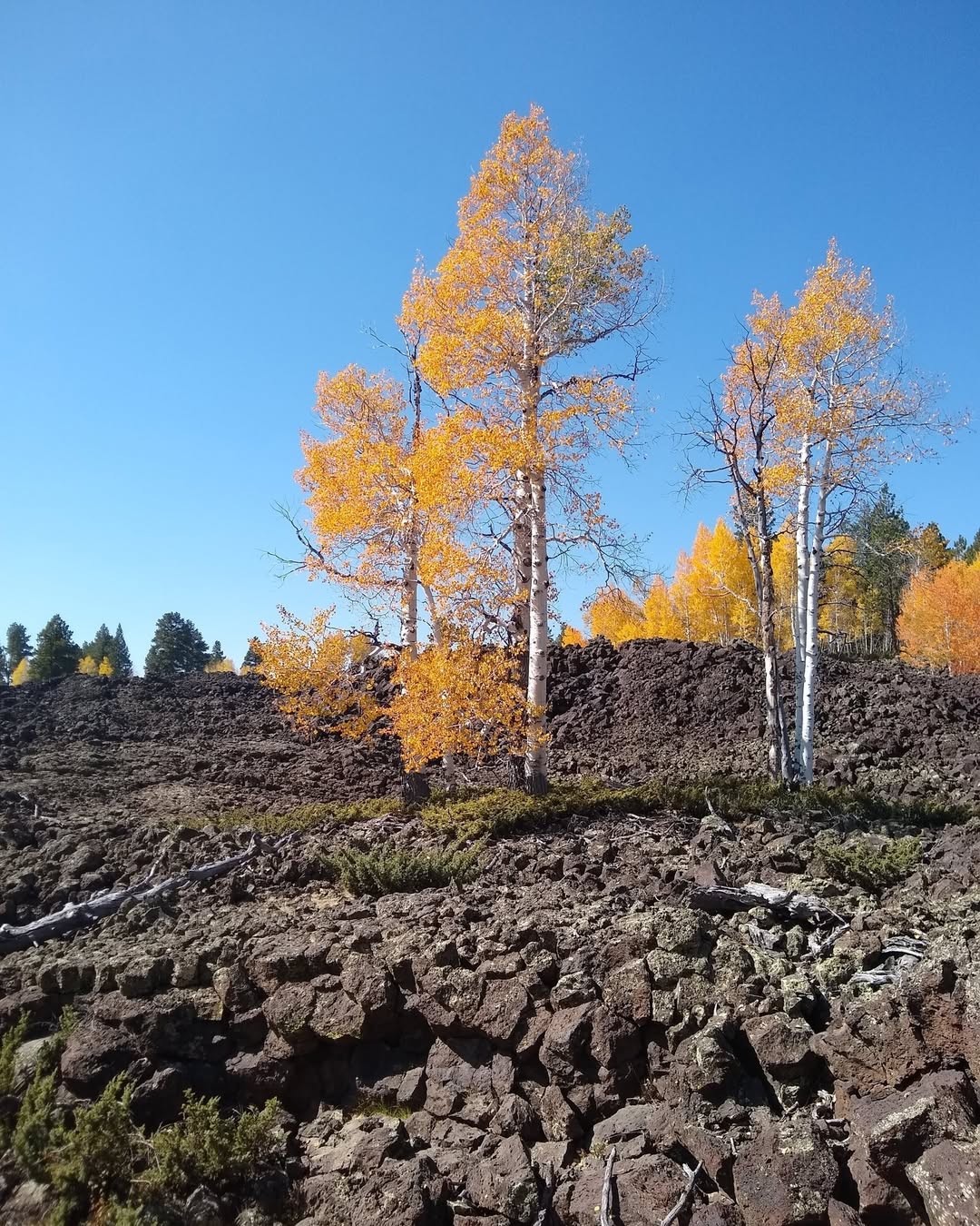 Volcanic Rock Instability Utah