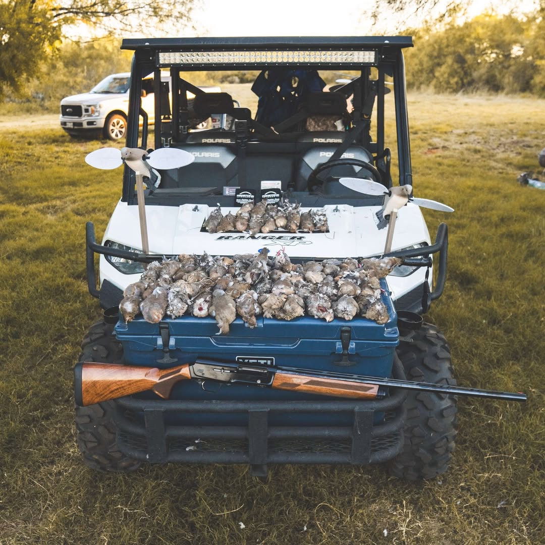 Browning x-bolt Rifle