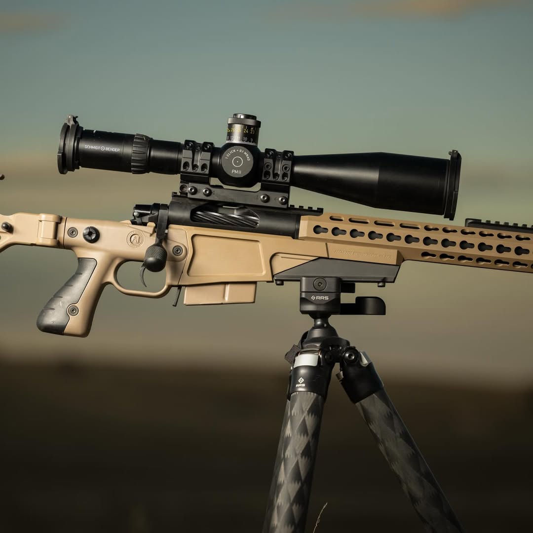 Schmidt Bender PM II