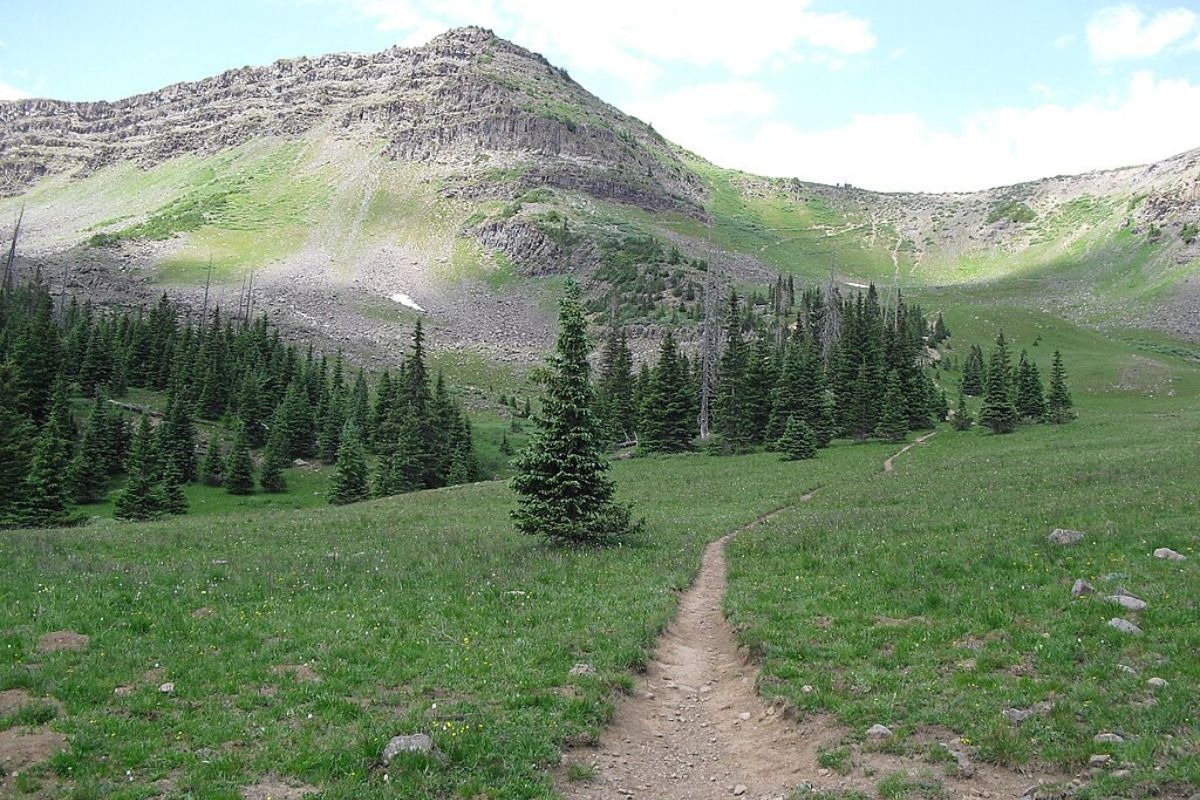 taiki-ishikawa-w6EMxsk8CDA-unsplash