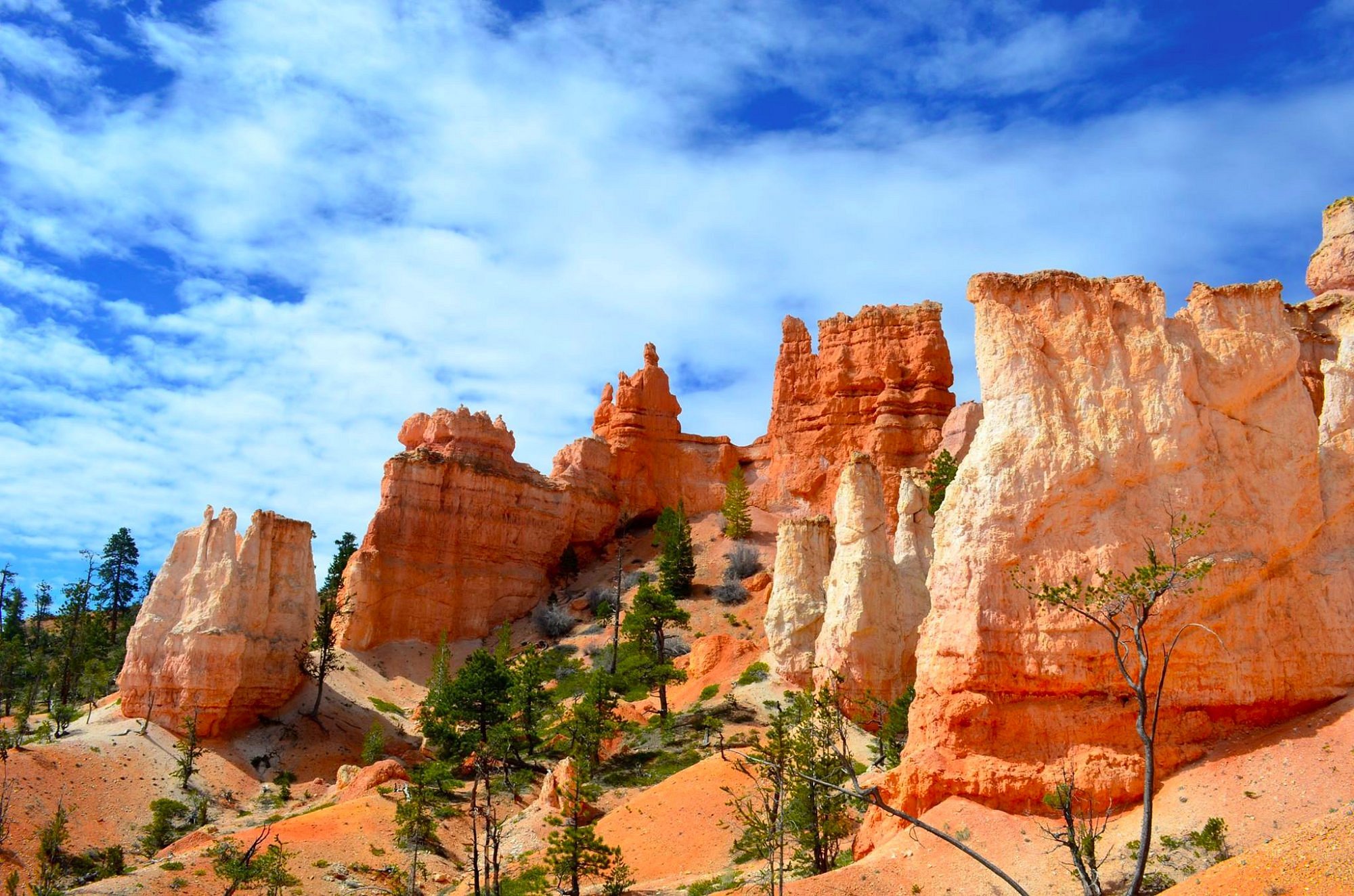 Fairyland Loop, Bryce Canyon National Park, Utah