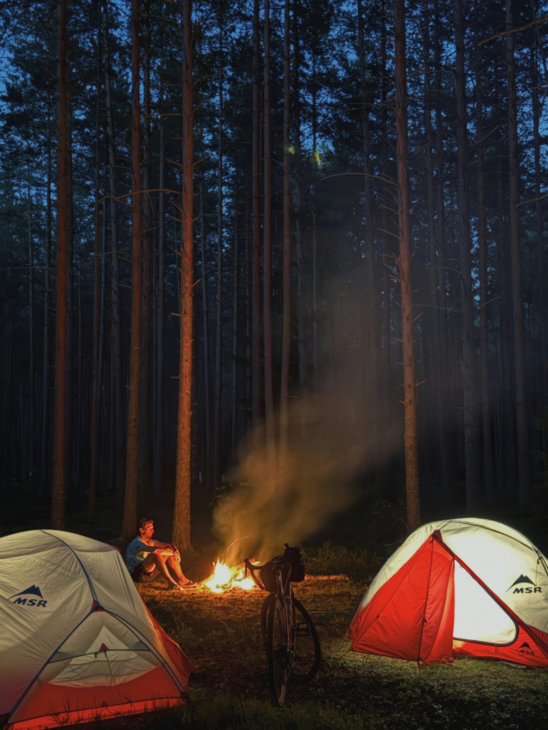 Camping Adventure in Forest at Night