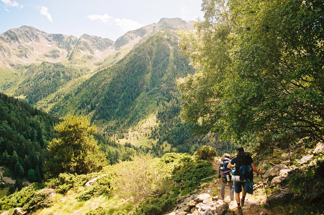 9 Ways Smartphones Quietly Change Survival Behavior - Bushcraft Base Camp