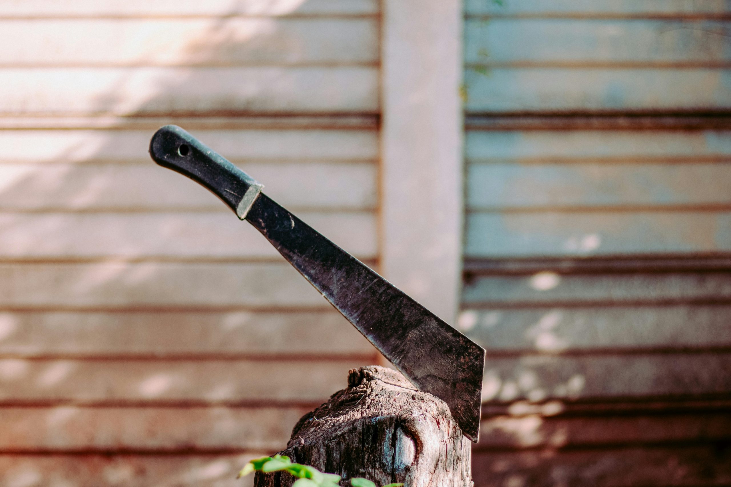 taiki-ishikawa-w6EMxsk8CDA-unsplash