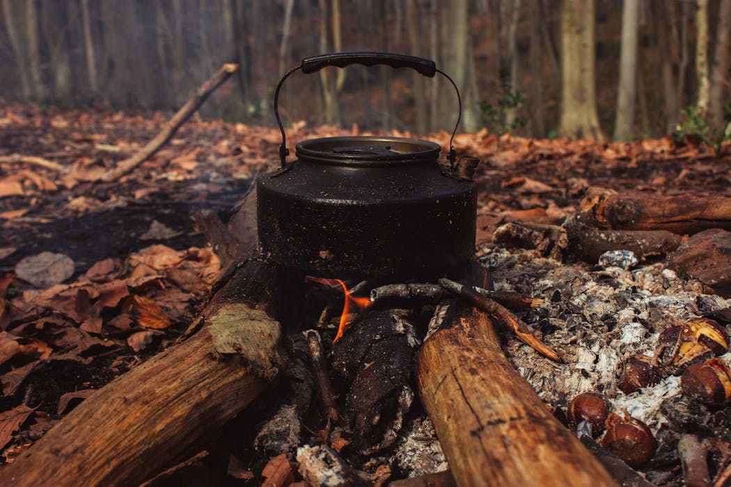 Makeshift Cooking Stands with Pine cone