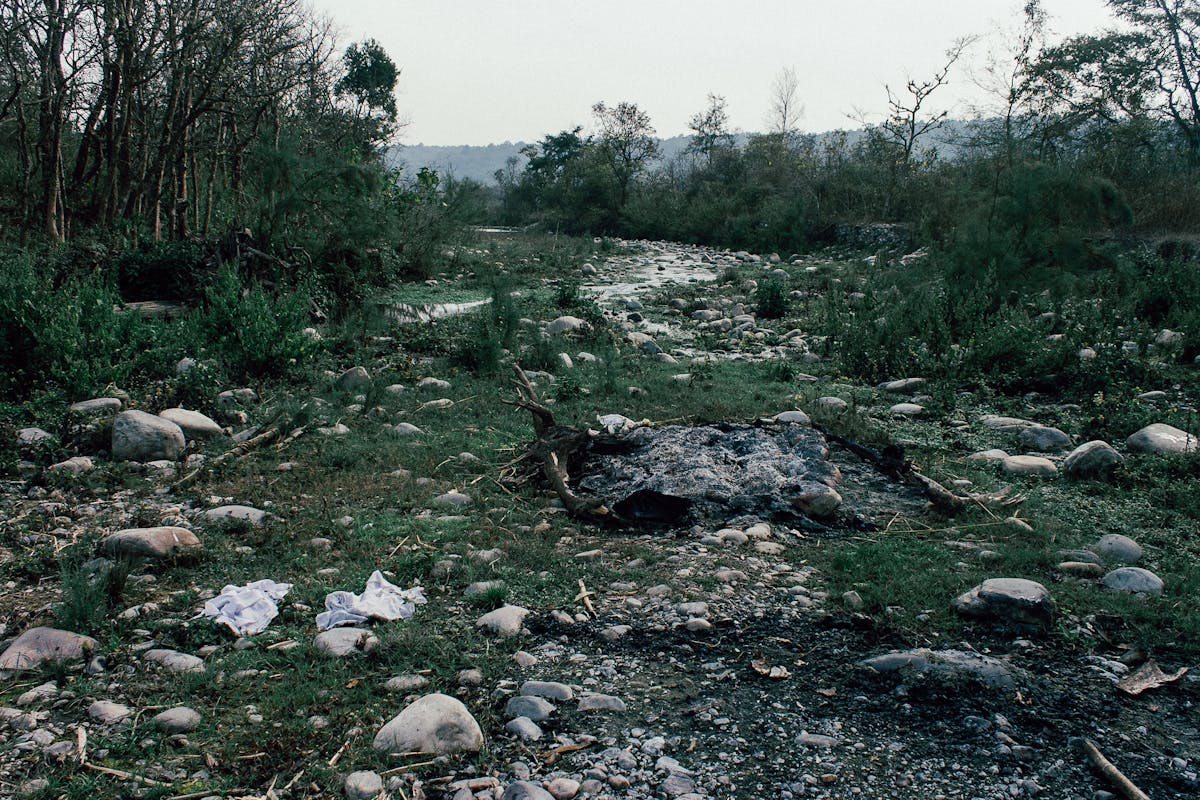 Abandoned burnt bonfire in forest edge