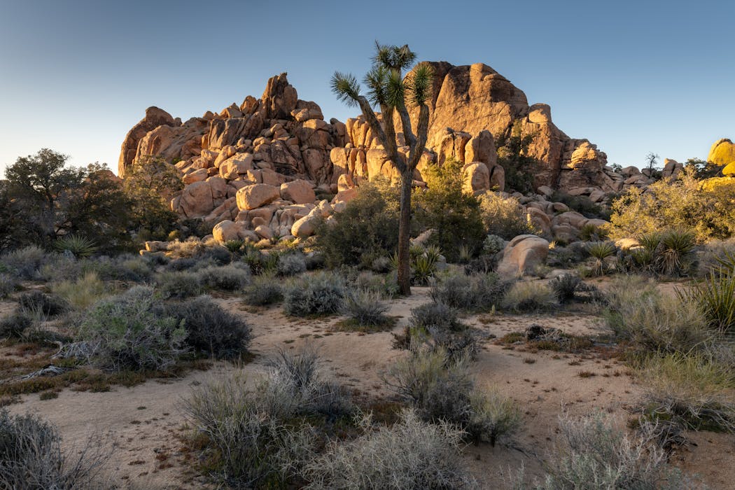 Hidden Valley Area, Joshua Tree National Park
