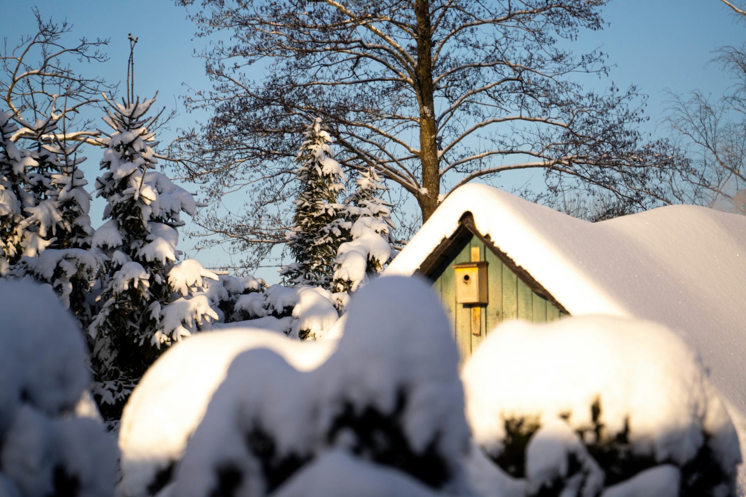 taiki-ishikawa-w6EMxsk8CDA-unsplash