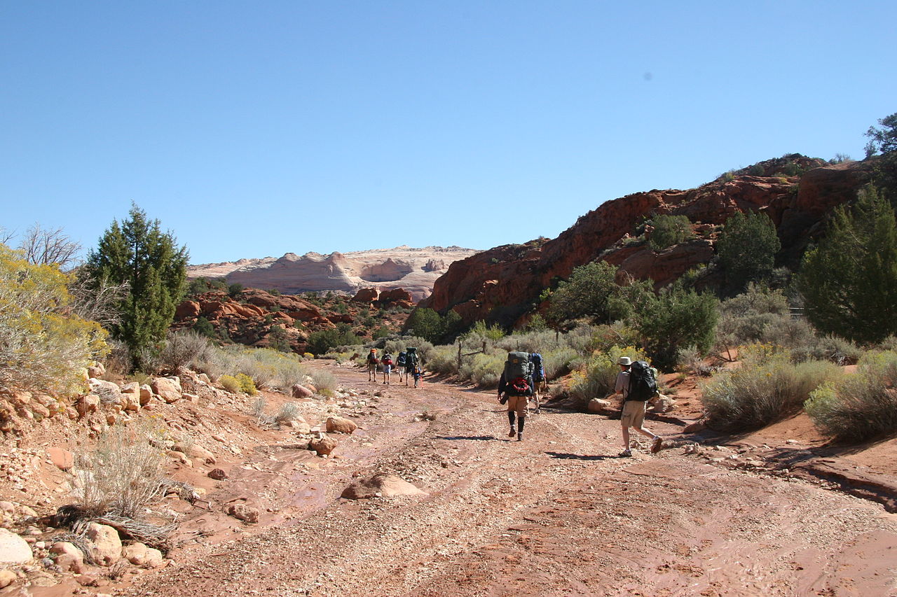 Wire Pass Slot Canyon In Utah