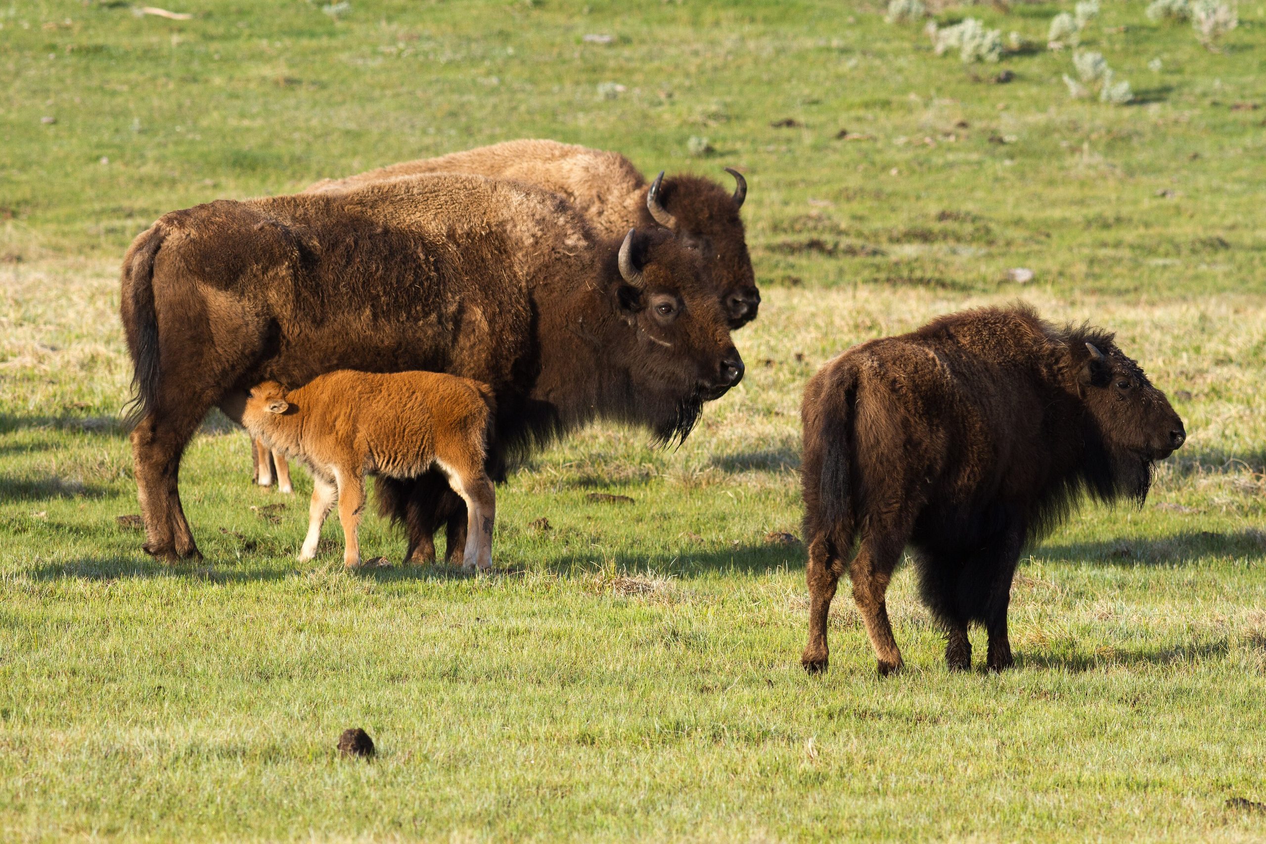 taiki-ishikawa-w6EMxsk8CDA-unsplash