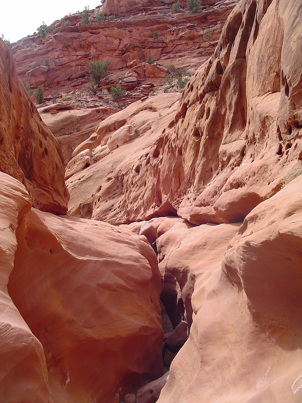 Little Death Hollow In Utah