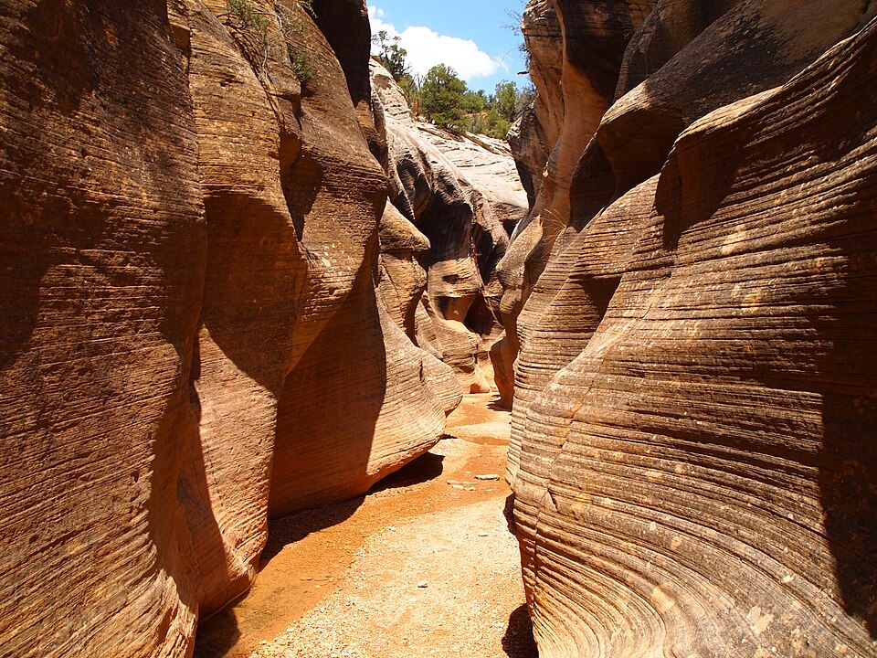 Willis Creek Slot Canyon In Utah