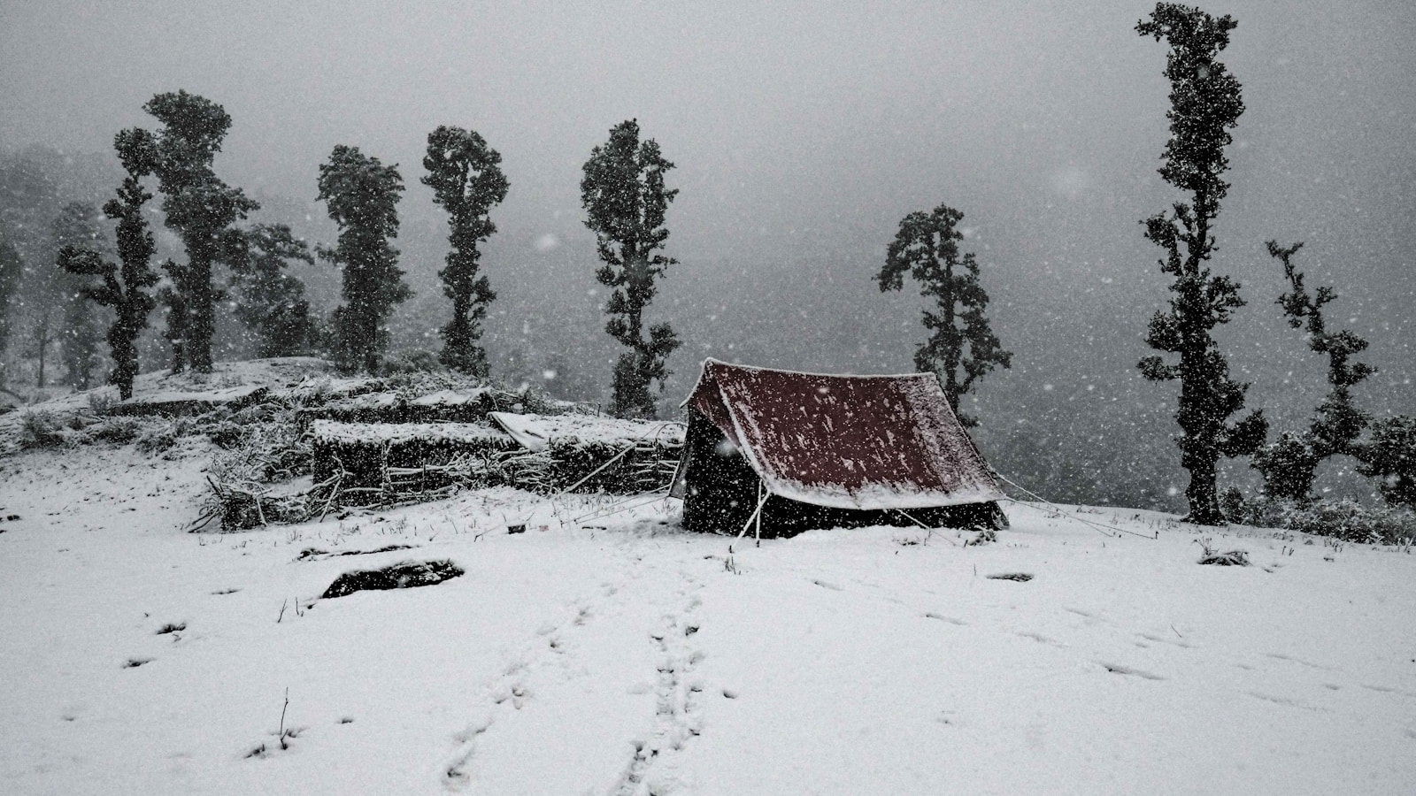 red tent covered with snow during daytime
